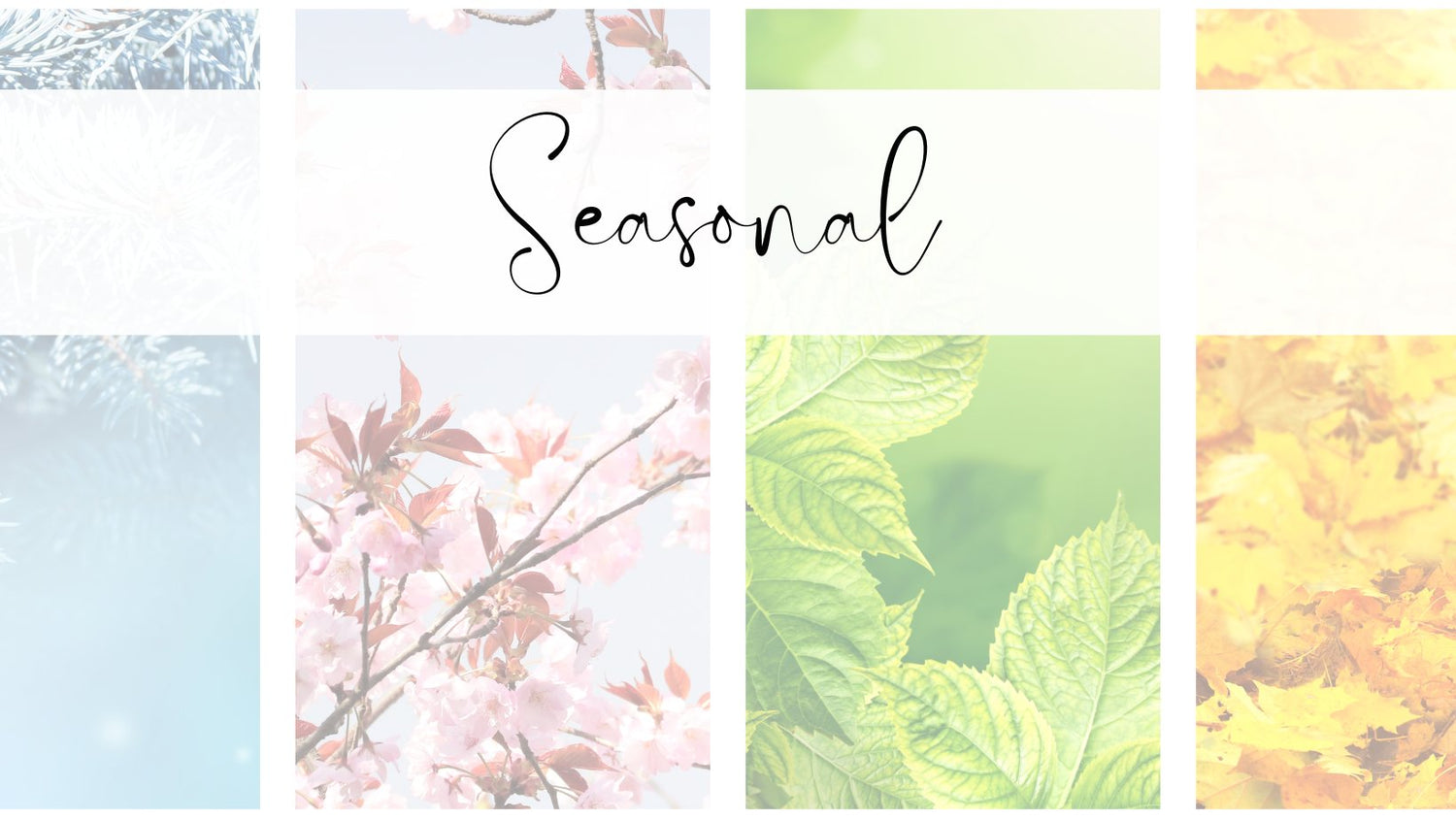 Seasonal and Holiday